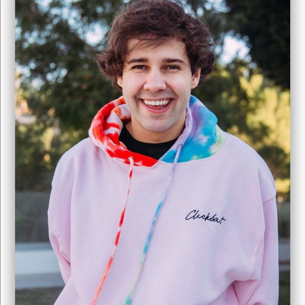 David Dobrik clickbait hoodie size large unisex.